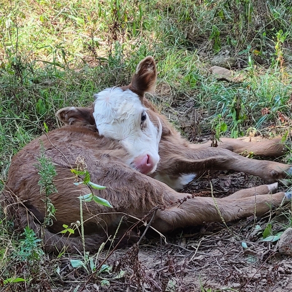 My Babies 😍❤ - Picture 9 of 13